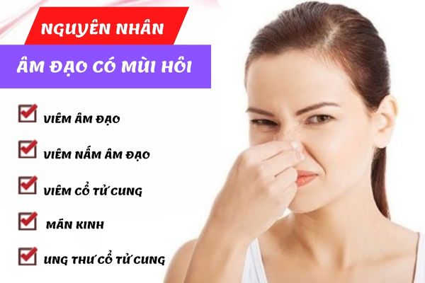 Âm đạo có mùi hôi do nhiều nguyên nhân khác nhau gây ra