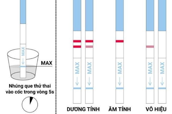 Cách dùng que thử thai chính xác nhất