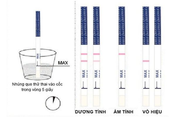 Cách đọc que thử thai đúng cách